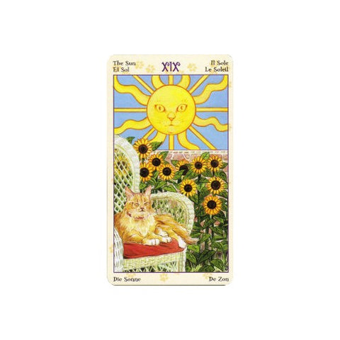 tarot korta Saulė su oranžiniu katinu ant pintinės kėdės ir saulėgrąžų fone, kortos iliustracinė versija