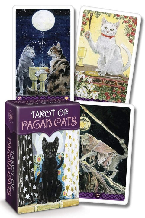 Tarot kortos Pagan Cats komplektas su purpurine dėžute ir keturiomis katėmis iliustruotomis kortomis