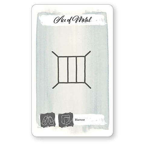 Cico Books: The Body Tarot kortos - HOBI.LT 🇱🇹