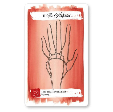 Cico Books: The Body Tarot kortos - HOBI.LT 🇱🇹
