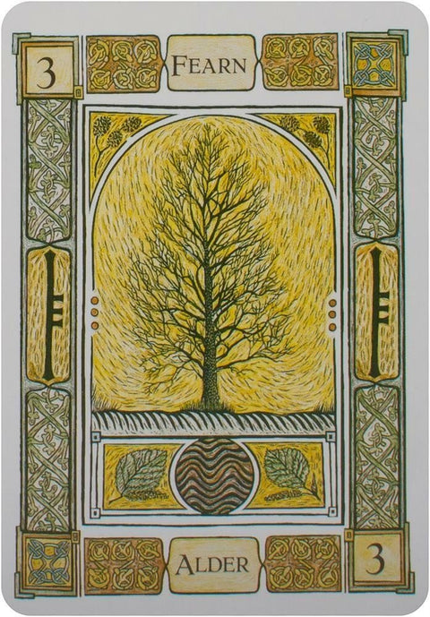 Welbeck Publishing: The Celtic Tree Oracle kortos I - HOBI.LT 🇱🇹