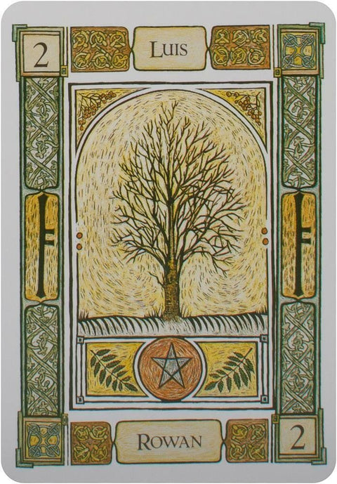 Welbeck Publishing: The Celtic Tree Oracle kortos I - HOBI.LT 🇱🇹