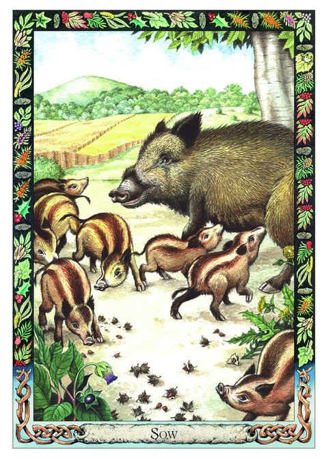 Welbeck Publishing: The Celtic Tree Oracle kortos II - HOBI.LT 🇱🇹