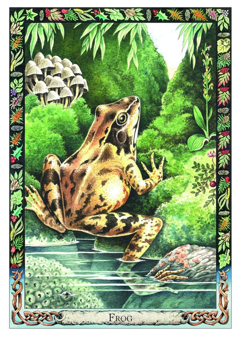 Welbeck Publishing: The Celtic Tree Oracle kortos II - HOBI.LT 🇱🇹