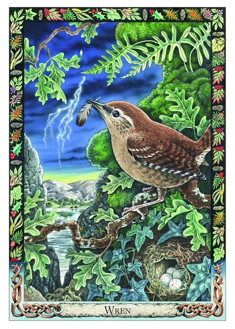Welbeck Publishing: The Celtic Tree Oracle kortos II - HOBI.LT 🇱🇹