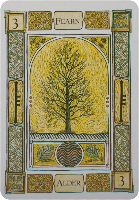 Alksnio korta, aukso geltono fono ir celtinio ornamentinio rėmo, numeris 3 (Fearn) — ryški meditacijų ir taro skaitymų versija