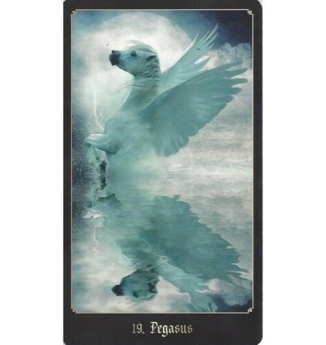 Schiffer: The Chronicles of Destiny Fortune kortos - HOBI.LT 🇱🇹