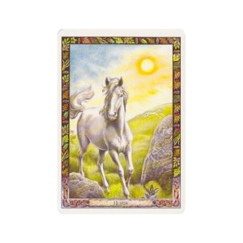 Tarot korta su baltu arkliu prieš saulėtą pievą, ornamentiniu rudų lapų rėmu ir aiškiu priekiu