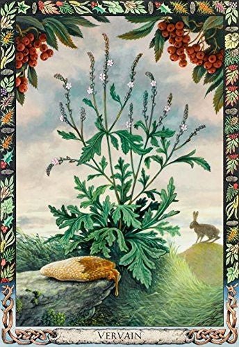 Welbeck Publishing: The Druid Plant Oracle Kortos - HOBI.LT 🇱🇹