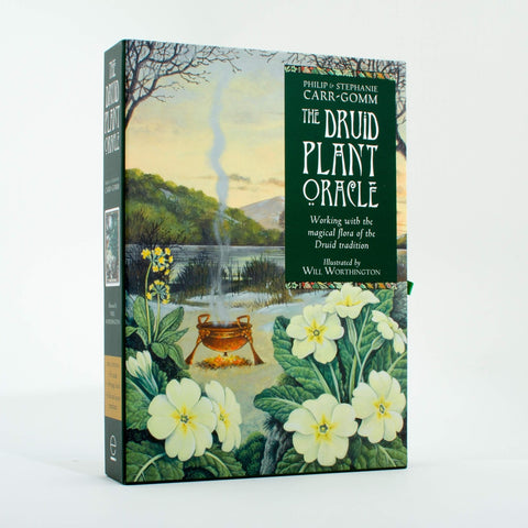 Welbeck Publishing: The Druid Plant Oracle Kortos - HOBI.LT 🇱🇹