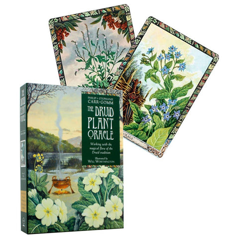 Welbeck Publishing: The Druid Plant Oracle Kortos - HOBI.LT 🇱🇹