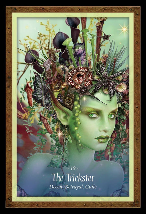 Blue Angel: The Faery Forest Oracle Kortos - HOBI.LT 🇱🇹