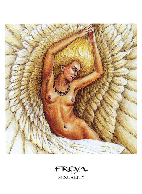 US Games Systems: The Goddess Oracle kortų ir knygos rinkinys - HOBI.LT 🇱🇹