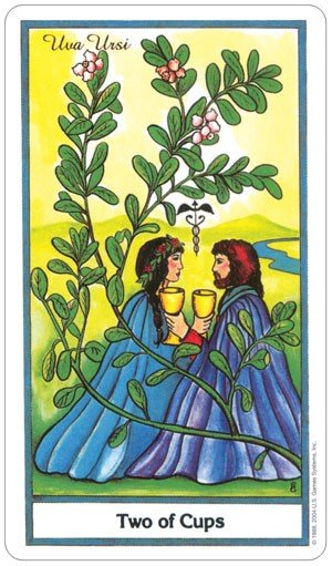 US Games Systems: The Herbal Tarot kortos - HOBI.LT 🇱🇹