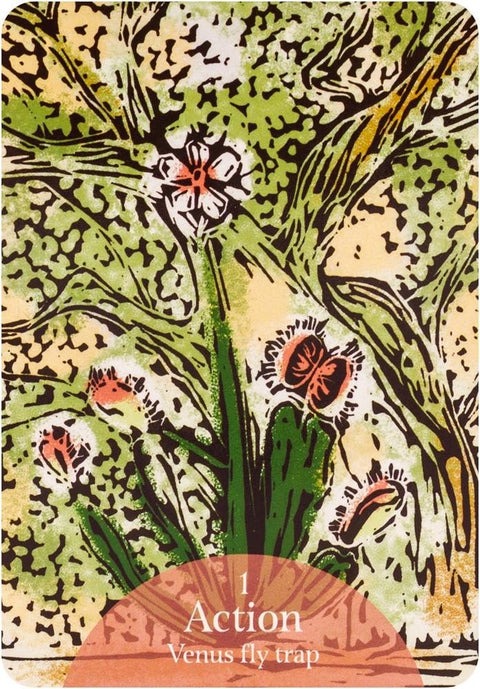 Rockpool: The Language of Flowers Oracle kortos - HOBI.LT 🇱🇹