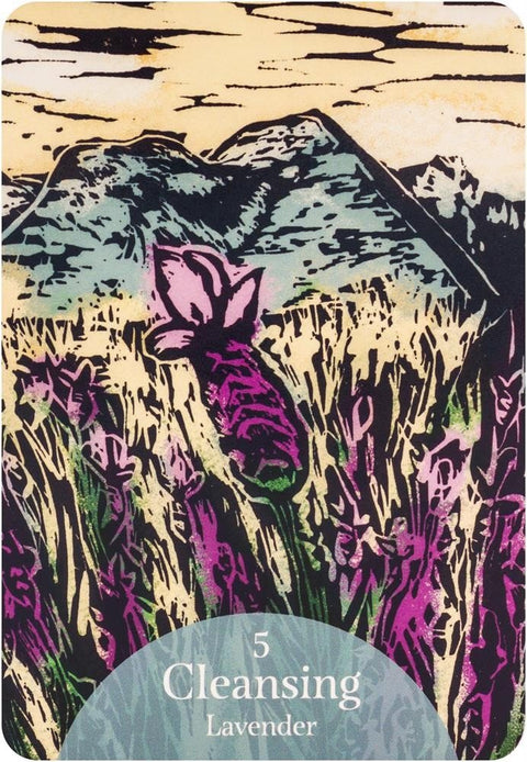 Rockpool: The Language of Flowers Oracle kortos - HOBI.LT 🇱🇹