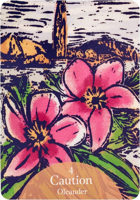 Rockpool: The Language of Flowers Oracle kortos - HOBI.LT 🇱🇹