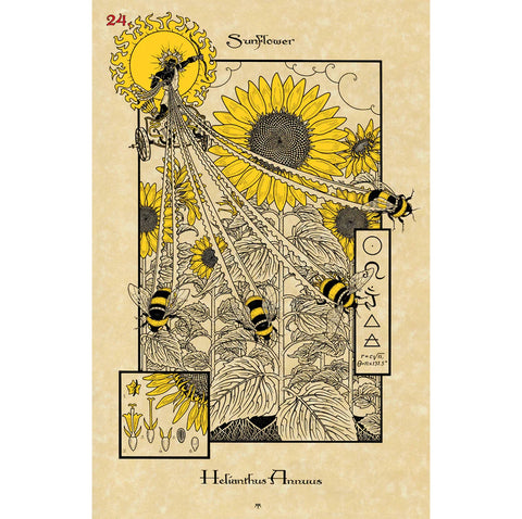 Lo Scarabeo: The Magickal Botanical Oracle kortos - HOBI.LT 🇱🇹