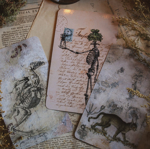Llewellyn: The River Oracle kortos Llewellyn - HOBI.LT 🇱🇹