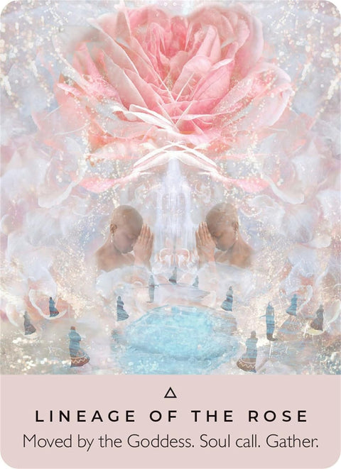 Hay House: The Rose Pocket Oracle Kortos Hay House - HOBI.LT 🇱🇹