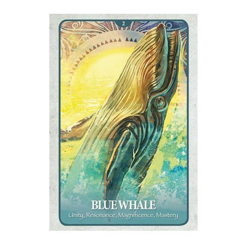 Blue Angel: The Secret Language of Animals Oracle kortos - HOBI.LT 🇱🇹