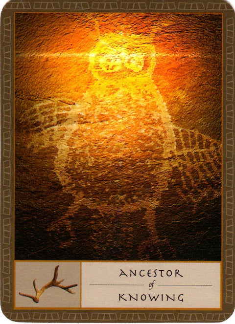 Watkins Publishing: The Shaman’s Oracle kortos - HOBI.LT 🇱🇹