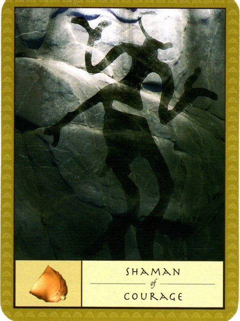 Watkins Publishing: The Shaman’s Oracle kortos - HOBI.LT 🇱🇹