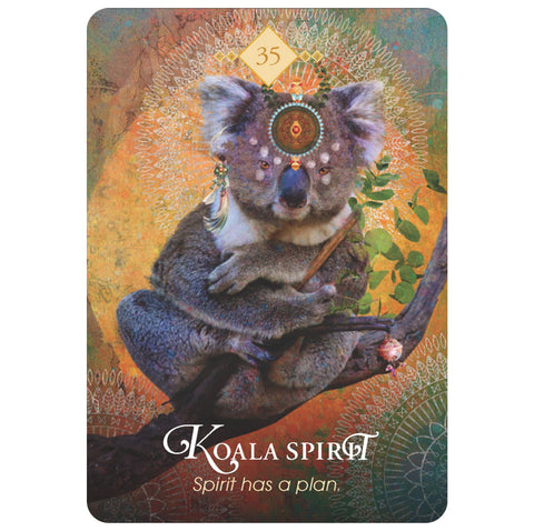 Orakulo korta Koala Spirit, arti užfiksuota koalos iliustracija su mandalos vainiku ir auksiniu fonu bei tekstu