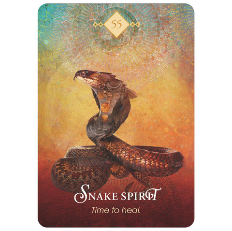 Hay House: The Spirit Animal Oracle kortos Hay House - HOBI.LT 🇱🇹