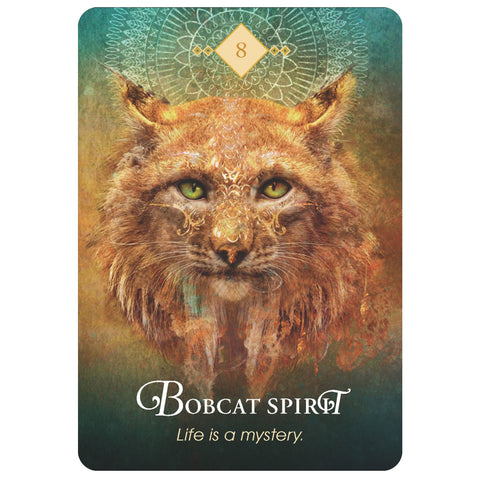 Hay House: The Spirit Animal Oracle kortos Hay House - HOBI.LT 🇱🇹