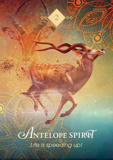 Antelope Spirit korta Nr.2 su bėgančio antilopo iliustracija ir aukso‑mėlynu ornamentu, akcentuojanti gyvenimo spartą