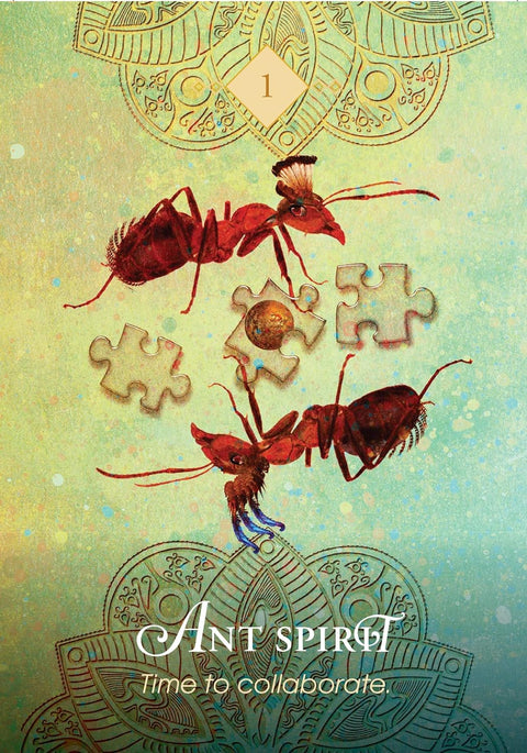 Hay House: The Spirit Animal Pocket Oracle kortos dėžutėje Hay House - HOBI.LT 🇱🇹