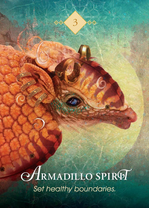 Orakulo korta Armadillo Spirit — oranžinė ir žalsva iliustracija su šarvuoto gyvūno profiliu, skatinanti nustatyti sveikas ribas, numeris 3