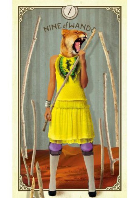 Hay House: The Tarot of Curious Creatures kortos Hay House - HOBI.LT 🇱🇹