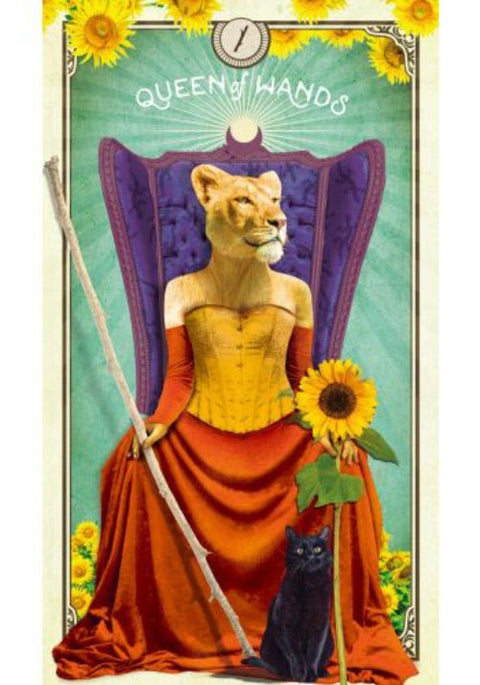 Hay House: The Tarot of Curious Creatures kortos Hay House - HOBI.LT 🇱🇹