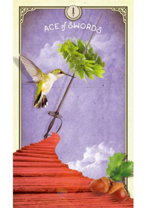 tarot korta Ace of Swords su kolibriu prie kardo, violetiniu fonu, raudonos medinės laiptinės fragmentu ir gilėmis, iliustracinė versija