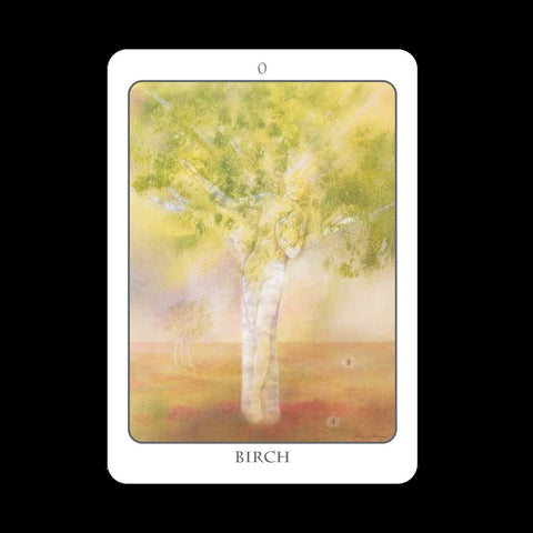 Earth Dancers: The Tree Angel Oracle kortų ir knygos rinkinys Earth Dancer - HOBI.LT 🇱🇹