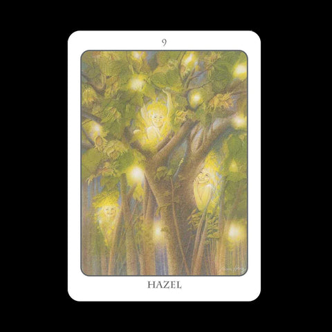Earth Dancers: The Tree Angel Oracle kortų ir knygos rinkinys Earth Dancer - HOBI.LT 🇱🇹