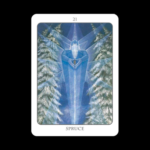 Earth Dancers: The Tree Angel Oracle kortų ir knygos rinkinys Earth Dancer - HOBI.LT 🇱🇹