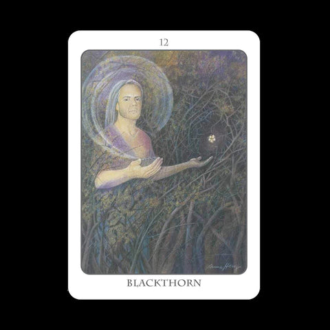 Earth Dancers: The Tree Angel Oracle kortų ir knygos rinkinys Earth Dancer - HOBI.LT 🇱🇹