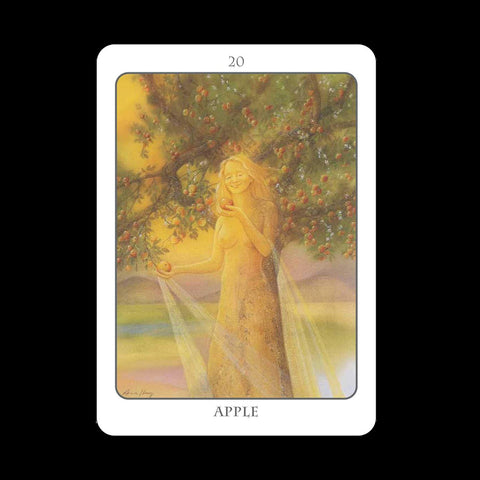 Earth Dancers: The Tree Angel Oracle kortų ir knygos rinkinys Earth Dancer - HOBI.LT 🇱🇹