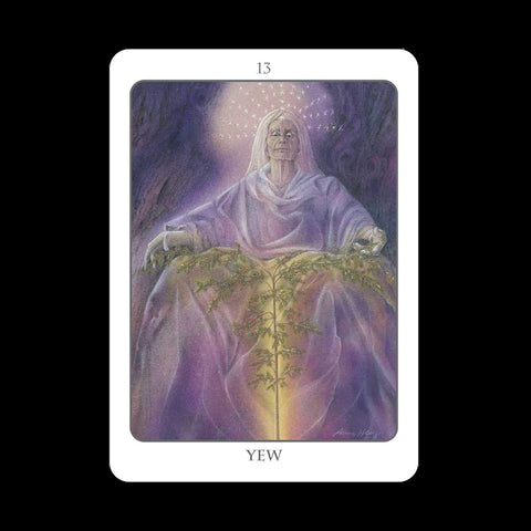 Earth Dancers: The Tree Angel Oracle kortų ir knygos rinkinys Earth Dancer - HOBI.LT 🇱🇹