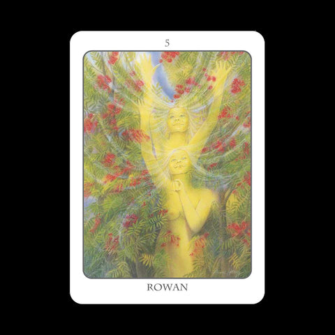 Earth Dancers: The Tree Angel Oracle kortų ir knygos rinkinys Earth Dancer - HOBI.LT 🇱🇹