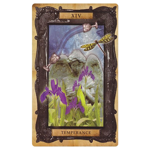 Cico Books: The Victorian Steampunk Taro kortos Cico Books - HOBI.LT 🇱🇹