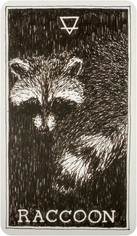 Harper One: The Wild Unknown Animal Spirit Oracle kortų ir knygos rinkinys Harper One - HOBI.LT 🇱🇹