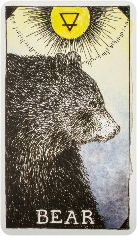 Harper One: The Wild Unknown Animal Spirit Oracle kortų ir knygos rinkinys Harper One - HOBI.LT 🇱🇹