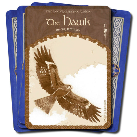 korta „The Hawk“ iš Animal Guides of Avalon, ruda vanago iliustracija priekyje ir mėlynos nugarėlės šone