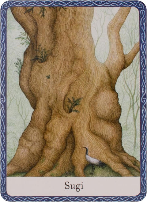 Watkins Publishing: The Wisdom Of Trees Oracle kortos - HOBI.LT 🇱🇹