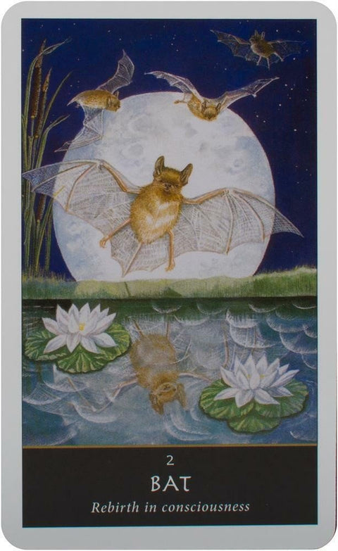 Welbeck Publishing: The Witches Oracle kortos - HOBI.LT 🇱🇹