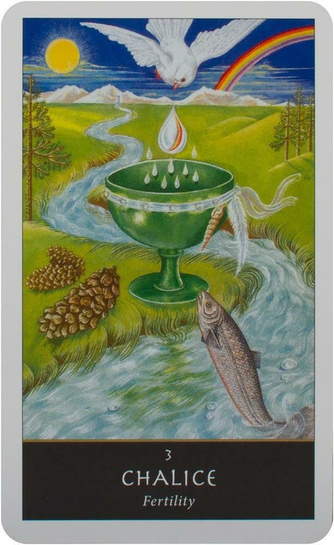 Welbeck Publishing: The Witches Oracle kortos - HOBI.LT 🇱🇹